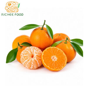 wholesale 100% natural fresh mandarin orange from hubei china
