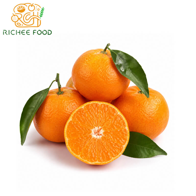 wholesale 100% natural fresh mandarin orange from hubei china wholesale 100% natural fresh mandarin orange from hubei china